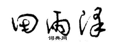 曾庆福田雨泽草书个性签名怎么写