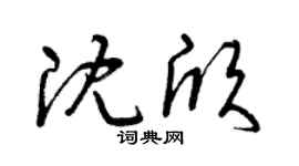 曾庆福沈欣草书个性签名怎么写