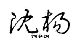 曾庆福沈杨草书个性签名怎么写