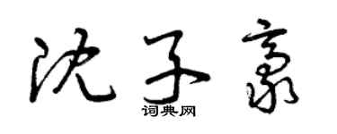 曾庆福沈子豪草书个性签名怎么写