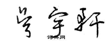 曾庆福吴宇轩草书个性签名怎么写