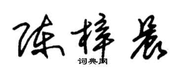 朱锡荣陈梓晨草书个性签名怎么写