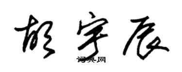 朱锡荣胡宇辰草书个性签名怎么写