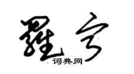 朱锡荣罗宁草书个性签名怎么写