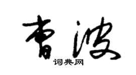 朱锡荣曹波草书个性签名怎么写