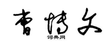 朱锡荣曹博文草书个性签名怎么写