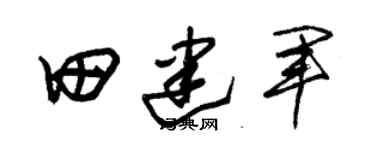 朱锡荣田建军草书个性签名怎么写