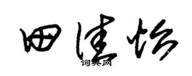 朱锡荣田佳怡草书个性签名怎么写
