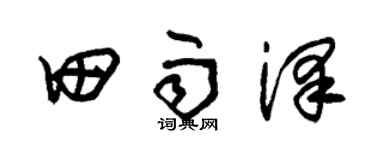 朱锡荣田雨泽草书个性签名怎么写