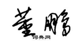 朱锡荣董鹏草书个性签名怎么写