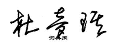 朱锡荣杜梦琪草书个性签名怎么写