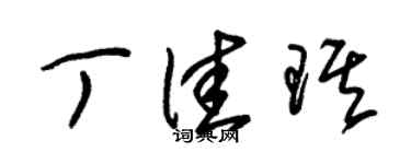 朱锡荣丁佳琪草书个性签名怎么写