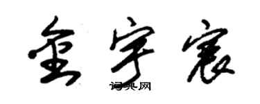 朱锡荣金宇宸草书个性签名怎么写
