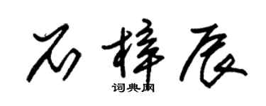 朱锡荣石梓辰草书个性签名怎么写