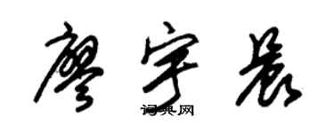 朱锡荣廖宇晨草书个性签名怎么写