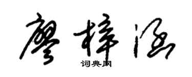 朱锡荣廖梓涵草书个性签名怎么写
