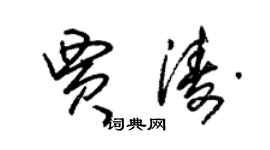朱锡荣贾涛草书个性签名怎么写