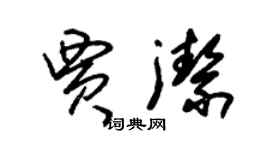 朱锡荣贾洁草书个性签名怎么写