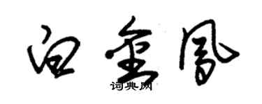 朱锡荣白金凤草书个性签名怎么写