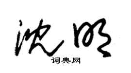 朱锡荣沈明草书个性签名怎么写