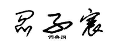 朱锡荣阎子宸草书个性签名怎么写