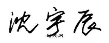 朱锡荣沈宇辰草书个性签名怎么写