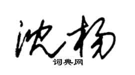 朱锡荣沈杨草书个性签名怎么写