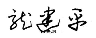 朱锡荣龙建平草书个性签名怎么写