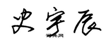 朱锡荣史宇辰草书个性签名怎么写