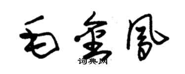 朱锡荣毛金凤草书个性签名怎么写