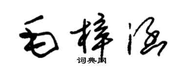 朱锡荣毛梓涵草书个性签名怎么写