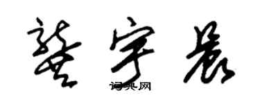 朱锡荣龚宇晨草书个性签名怎么写