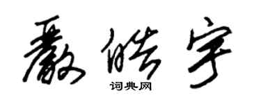 朱锡荣严皓宇草书个性签名怎么写