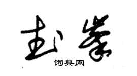 朱锡荣武峰草书个性签名怎么写