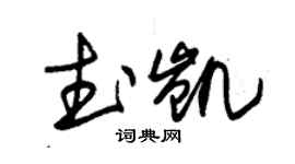 朱锡荣武凯草书个性签名怎么写