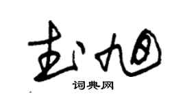 朱锡荣武旭草书个性签名怎么写