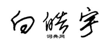朱锡荣向皓宇草书个性签名怎么写