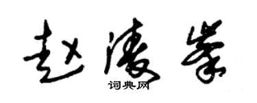 朱锡荣赵凌峰草书个性签名怎么写