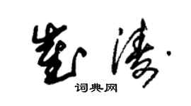 朱锡荣崔涛草书个性签名怎么写