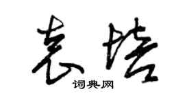 曾庆福袁培草书个性签名怎么写