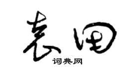 曾庆福袁田草书个性签名怎么写