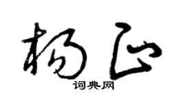 曾庆福杨正草书个性签名怎么写