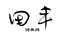 曾庆福田丰草书个性签名怎么写