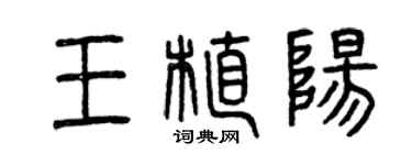 曾庆福王植阳篆书个性签名怎么写