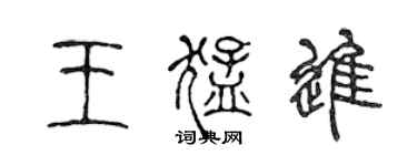 陈声远王猛进篆书个性签名怎么写