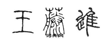 陈声远王藤进篆书个性签名怎么写