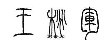 陈墨王桃军篆书个性签名怎么写