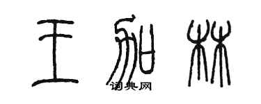 陈墨王加林篆书个性签名怎么写