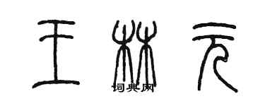 陈墨王林元篆书个性签名怎么写