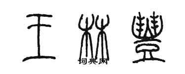 陈墨王林丰篆书个性签名怎么写